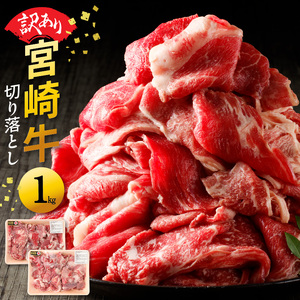 【訳あり品】宮崎牛 切り落とし1kg N0140-YA6612
