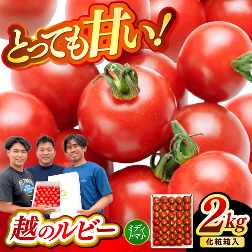 フルーツトマト 越のルビー 2kg 化粧箱入り 2026年10月上旬以降順次発送 とまと 野菜 [A-19108]