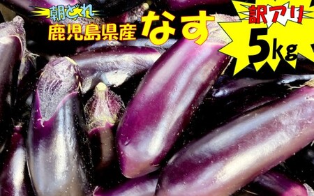 [訳アリ][朝どれ] 鹿児島県産ナス 5kg 季節限定 農家直送 鹿児島県産 [2026年7月上旬から9月下旬発送予定]