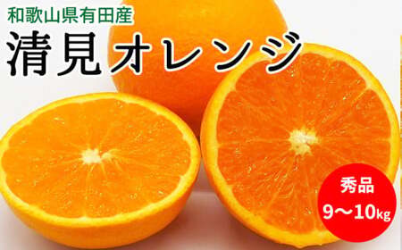 【2027年先行予約】清見オレンジ 秀品 約9～10kg 和歌山県有田産_U6303