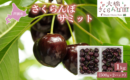 [ 先行受付 ]さくらんぼ サミット 1kg 500g×2パック 農林水産大臣賞 受賞 サクランボ チェリー 果物 果物類 フルーツ デザート 大粒 肉質 希少 北海道 芦別市