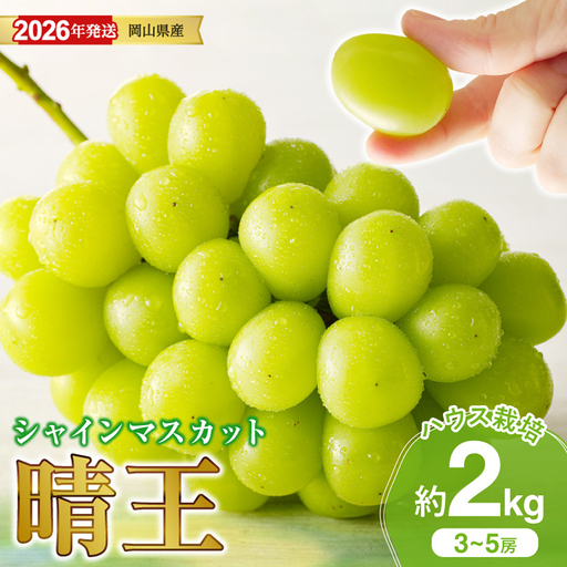 岡山県産 シャインマスカット 晴王 ハウス栽培 約2kg 3～5房程度【シャインマスカット】hz-s