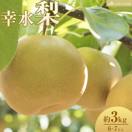[JAみやぎ仙南]梨「幸水」約3kg (6〜8玉入)