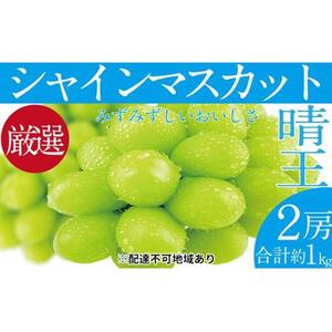 ぶどう 2026年 先行予約 シャイン マスカット 晴王 2房(合計約1kg) ブドウ 葡萄 岡山県産 国産 フルーツ 果物 ギフト
