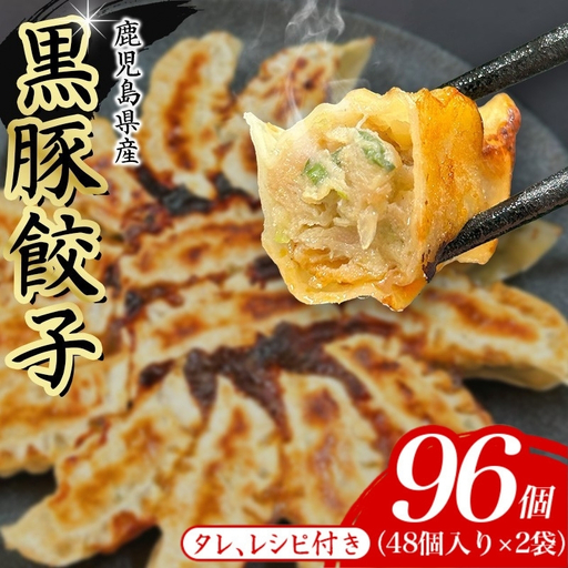 餃子 黒豚餃子 96個【gnkt0002】