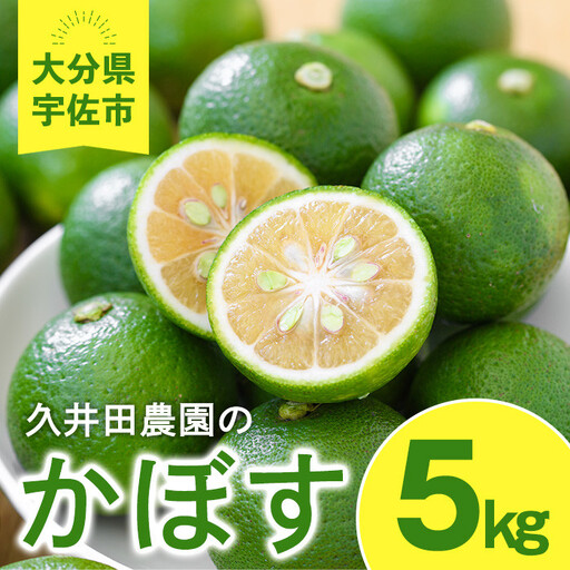 ＜先行予約受付中！2026年8月上旬以降順次発送予定＞かぼす(5kg)柑橘 かんきつ 大分県産直【112600100】【ａｎｄＫ】