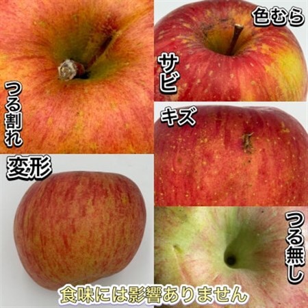訳ありサンふじ　5kg(13玉～22玉)でお届け【令和8年11月中旬より順次発送】_果物・フルーツ りんご  リンゴ 林檎_【配送不可地域：離島】【1491946】