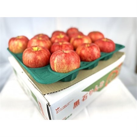 酸味ですっきり! 訳ありサンジョナゴールド　5kg(13～20個入)　2026年11月より発送_果物・フルーツ りんご  リンゴ 林檎_【配送不可地域：離島】【1495751】