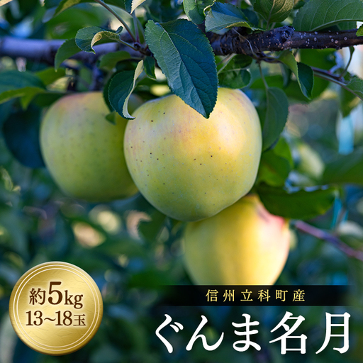 ぐんま名月（約5kg、優13～18玉）　