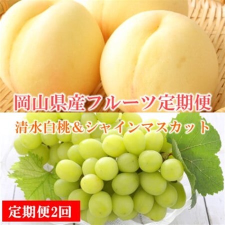 【発送月固定定期便】【岡山県産人気フルーツ】清水白桃＆シャインマスカット定期便全2回_果物・フルーツ もも  モモ 桃  果物・フルーツ ぶどう・マスカット  ブドウ 葡萄   定期便 定期便  _【配送不可地域：離島・北海道・沖縄県】【4051975】