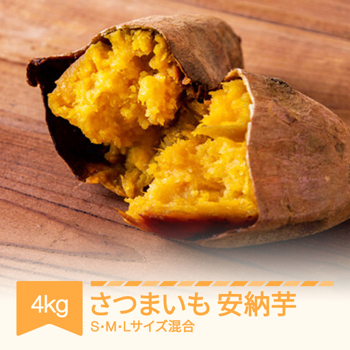 先行予約 令和8年産安納芋 約4kg no-spanx4