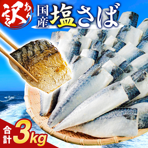 訳あり 塩 サバ フィーレ 3kg さば 鯖