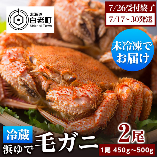 ★期間限定★ 浜ゆで！毛ガニ 約400g～450g×2尾 チルド配送 7/17~7/30発送【斉藤水産】 AM102