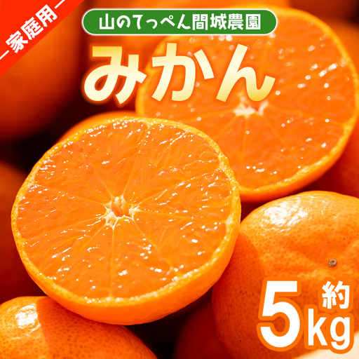 家庭用 温州みかん 5kg 山のてっぺん間城農園のみかん[果物 果物 果物 果物 果物] ms-0084