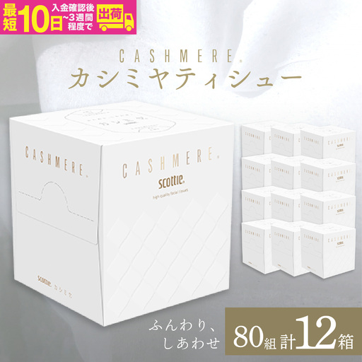【ティッシュ】スコッティ カシミヤ キューブ 80組(1箱)×12箱