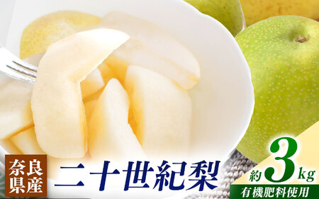梨子本農園 の 梨 ( 二十世紀 )約 3kg 