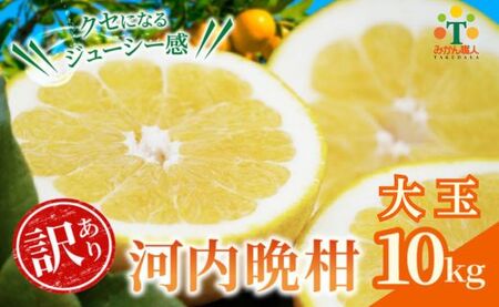 [訳あり] みかん職人の河内晩柑 大玉 10kg 先行予約 河内晩柑 みかん職人武田屋