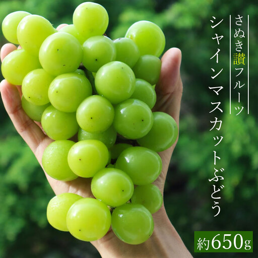 シャインマスカットぶどう 約650g