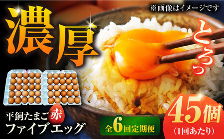 【6回定期便】【箱入り】平飼たまご ファイブエッグ M-Lサイズ 45個 / 5EGG 卵 赤玉子 五島市 / 五島列島大石養鶏場[PFQ043]  玉子 タマゴ 鶏卵 希少 五島列島