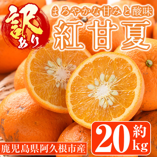[先行予約受付中!2027年1月中旬以降順次発送予定]訳あり紅甘夏(約20kg) 国産 鹿児島県 阿久根市 果実 果物 フルーツ 柑橘 紅甘夏 みかん ミカン 期間限定 数量限定[桐野柑橘株式会社]akn070-09