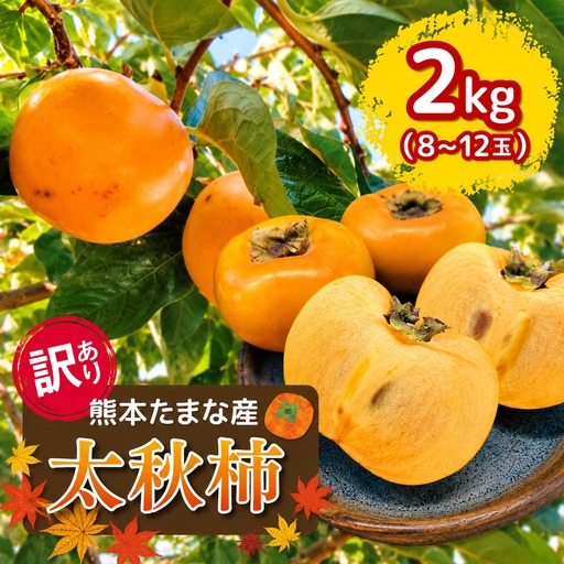 訳あり 柿 約2kg 太秋柿 KiyomotoFarm