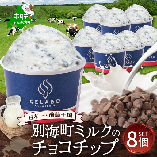 贅沢素材・ジェラート 別海町ミルクのチョコチップ　8個セット(EK0000007)