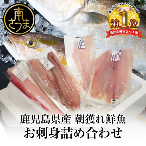★9月お届け★ お刺身 詰め合わせ（4種） 朝獲れ 漁師厳選 直送 冷蔵 刺身 さしみ 鮮魚 ヤマチョウ 鹿児島県産 海鮮 直送 セット 詰め合わせ ヤマチョウ 南さつま市