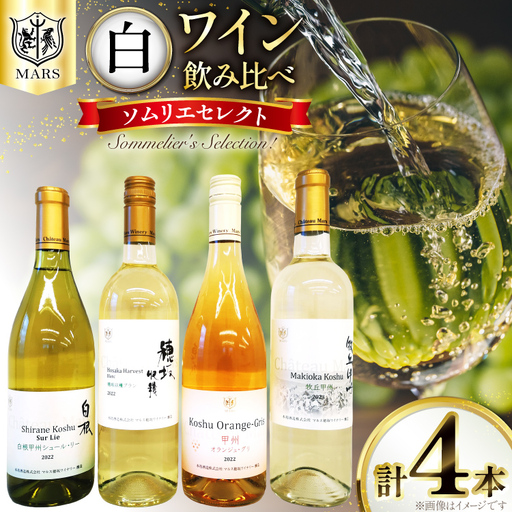 ワイン 白 飲み比べ 4本 セット ソムリエセレクト詰め合わせ