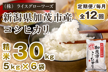 【令和8年産新米先行予約】【定期便12ヶ月毎月お届け】新潟県加茂市産コシヒカリ 精米30kg（5kg×6）《10月上旬～順次出荷》 白米 （株）ライスグローワーズ