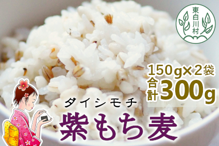 [令和7年度産] 東白川村産 紫もち麦 ダイシモチ 150g×2袋 計300g お米 こめ もち麦 雑穀 精米 ご飯 お取り寄せ