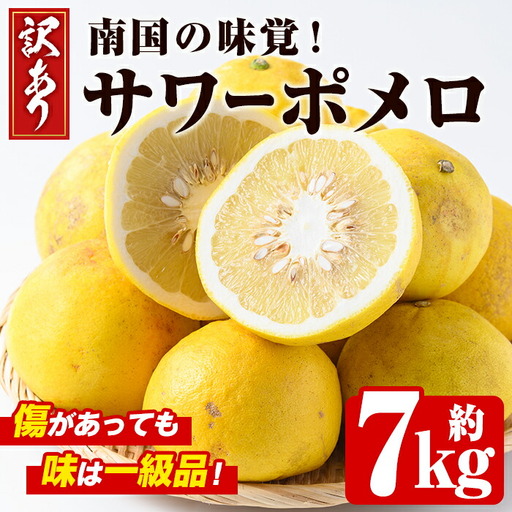 ＜先行予約受付中！2027年2月下旬以降順次発送予定＞＜訳あり・傷あり＞数量限定！サワーポメロ(約7kg) 国産 フルーツ 果物 柑橘類 サワーポメロ 甘味 酸味 デザート おやつ 訳あり【なかむら果樹園】akn014-01