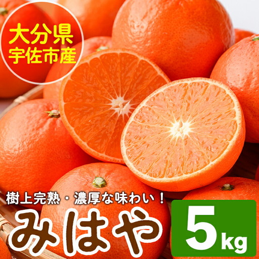 [先行予約受付中!2027年1月中旬から2月中旬の間に順次発送予定]みはや(約5kg)みはや(約5kg)ハウス 樹成 完熟みかん 蜜柑 柑橘 かんきつ フルーツ 果物 くだもの[111600100][永木農園]