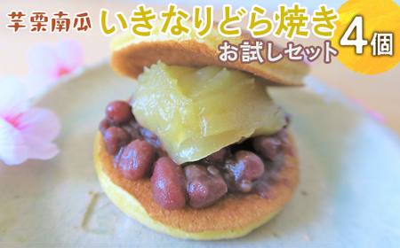 芋栗南瓜いきなりどら焼きお試しセット ※離島への配送不可 ※2026年10月中旬頃〜2027年2月中旬頃に順次発送予定 _CC08