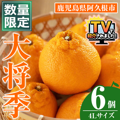 [先行予約受付中!2027年1月中旬以降順次発送予定]数量限定!大将季 (6個・4Lサイズ) 柑橘 フルーツ 果物 国産 みかん 期間限定 不知火 しらぬい シラヌイ ミカン[株式会社土曜日]akn069-12