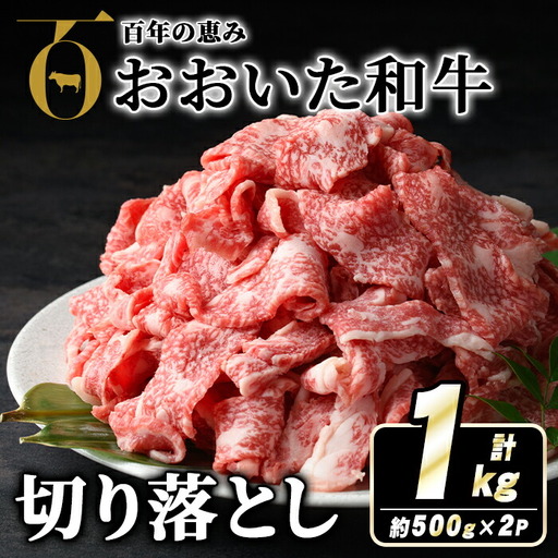 おおいた和牛切り落とし(計1kg・500g×2P) 牛肉 お肉 ウデ モモ バラ 切り落とし 切り落し 切落し こま切れ すき焼き 肉じゃが おおいた和牛 和牛 霜降り【110201002】【吉野】