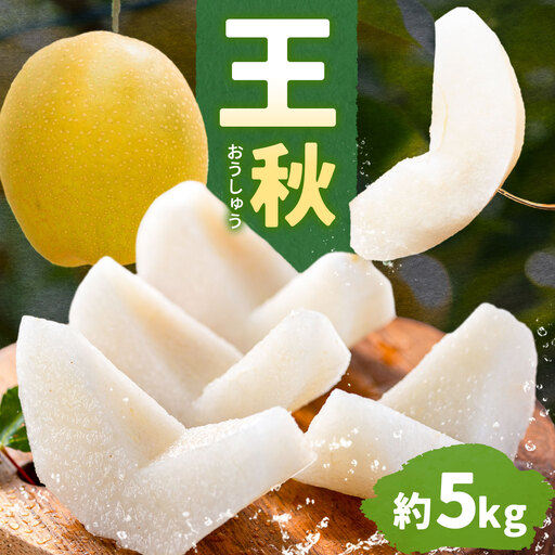 芳賀町産 梨 王秋 約5kg 6～9玉 手塚農園