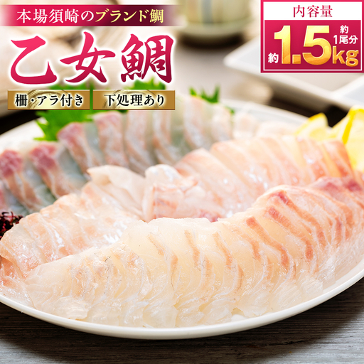 [ 鯛 ] 乙女鯛 フィーレ 1.5kg