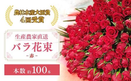 バラ [配送エリア限定・着日指定必須] 生産農家直送 バラ花束 新鮮 約100本