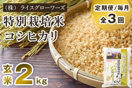 [令和8年産新米先行予約][定期便3回毎月お届け]新潟県加茂市産 特別栽培米コシヒカリ 玄米2kg[10月上旬〜順次出荷] 従来品種コシヒカリ (株)ライスグローワーズ