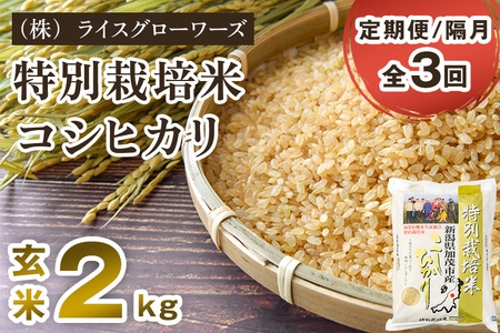 [令和8年産新米先行予約][定期便3回隔月お届け]新潟県加茂市産 特別栽培米コシヒカリ 玄米2kg[10月上旬〜順次出荷] 従来品種コシヒカリ (株)ライスグローワーズ