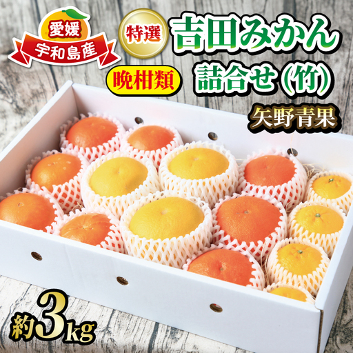 【柑橘】特選みかん詰合せ約3kg矢野青果柑橘B010-171039