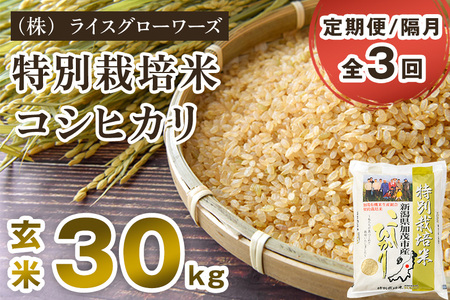 [令和8年産新米先行予約][定期便3回隔月お届け]新潟県 加茂市産 特別栽培米コシヒカリ 玄米30kg(5kg×6)[10月上旬〜順次出荷] 加茂有機米生産組合