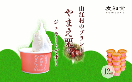 やまえ栗 ジェラート 12個 友和堂 《10月上旬-12月中旬頃出荷》 熊本県 球磨郡 山江村 スイーツ お菓子 洋菓子 アイス 栗 くり 