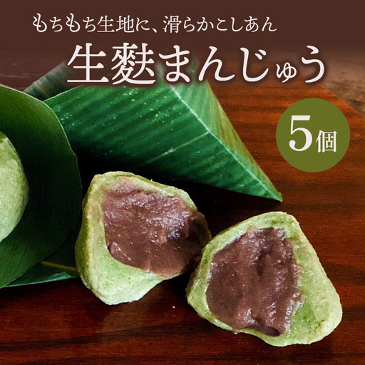 生麩まんじゅう 5個 サービスパック | 中津菓子かねい 和菓子 茶菓子 手作り お菓子 おやつ 小豆 あんこ こしあん まんじゅう スイーツ 自宅用 大分県 中津市