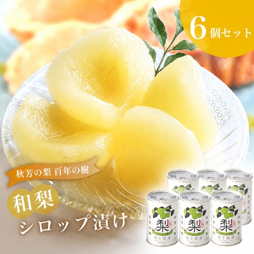 おいしい梨をいつでも 和梨のシロップ漬け 6個セット ( 秋芳の実 梨 百年の樹 )