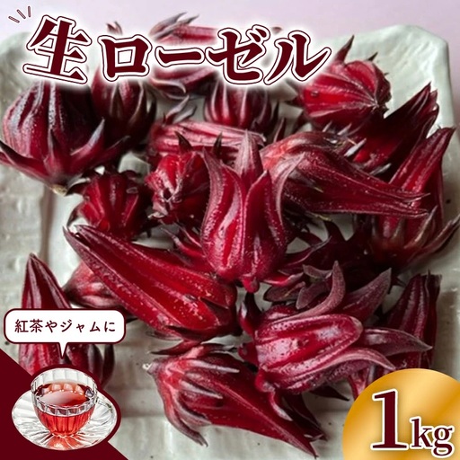 【先行受付】生ローゼル 約１キロ - 2026年11月以降順次発送 ハイビスカスローゼル 1kg フレッシュ ハーブ ビタミン ミネラル クエン酸 アントシアニン ポリフェノール 国産ハーブ 沖縄県産 沖縄県 八重瀬町
