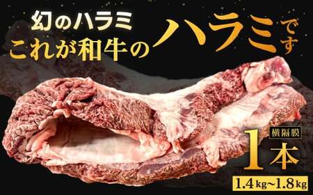 幻のハラミ これが和牛のハラミ（横隔膜）です【2027年1月～2月発送】黒毛和牛 和牛 ハラミ 上ハラミ 肉 お肉 高級 サシ 焼肉 BBQ 希少 新鮮 国産 九州産 冷蔵