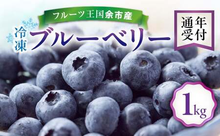 フルーツ王国余市産 冷凍ブルーベリー 1kg【ニトリ観光果樹園】_Y074-0149