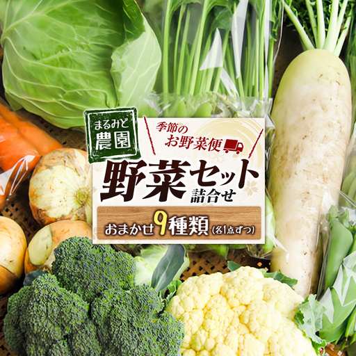 野菜セット 詰め合わせ まるみど農園の季節のお野菜便 農薬使わずに育ててます 9種類 旬 農家直送 国産 送料無料_MA105_001