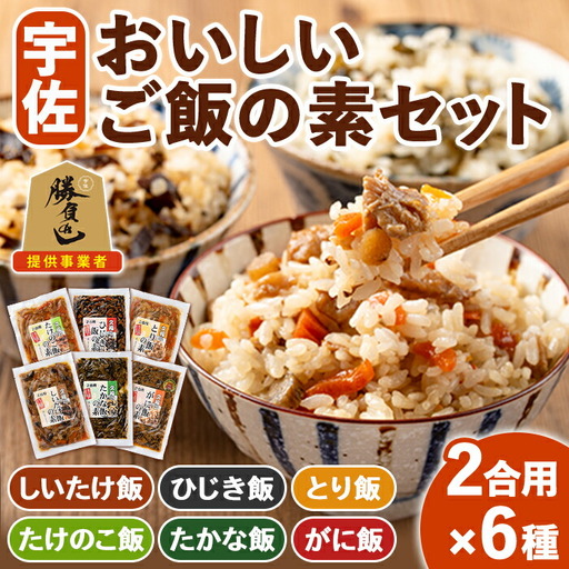 宇佐おいしいご飯の素セット(6種)ご飯の素 混ぜご飯 簡単 時短 おにぎり お弁当 郷土料理 食べ比べ セット 勝負めし【102200101】【観光館　文福】